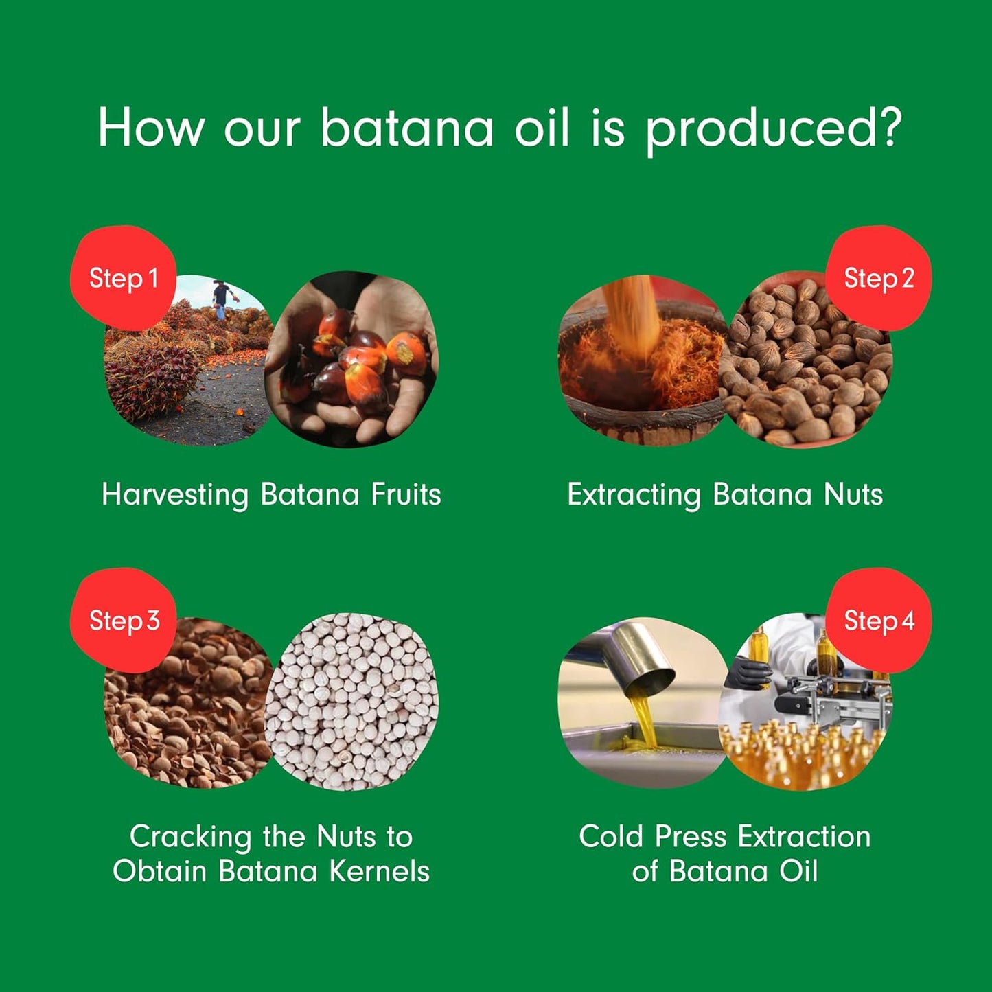Floré Haircare Batana Oil 118ml | Pure Batana Oil for Hair Growth, Thinning Hair, Scalp Nourishment & Shine | 100% Natural, Paraben-Free, Vegan - Floré Haircare 