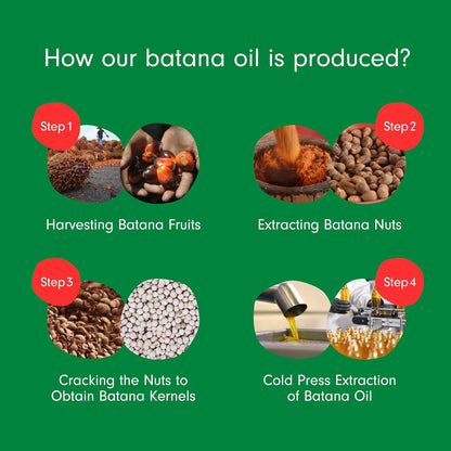 Floré Haircare Batana Oil 118ml | Pure Batana Oil for Hair Growth, Thinning Hair, Scalp Nourishment & Shine | 100% Natural, Paraben-Free, Vegan - Floré Haircare 